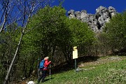 81 Verso la Ferrata del Centenario